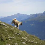 Haus Kathrein Fliess