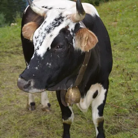 아파트 Haus Kathrein