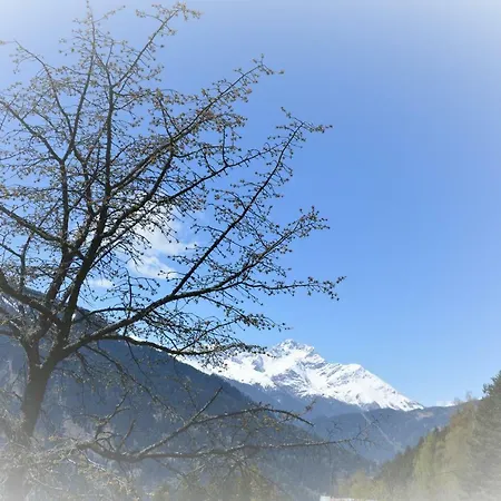 Haus Kathrein 아파트 플리스