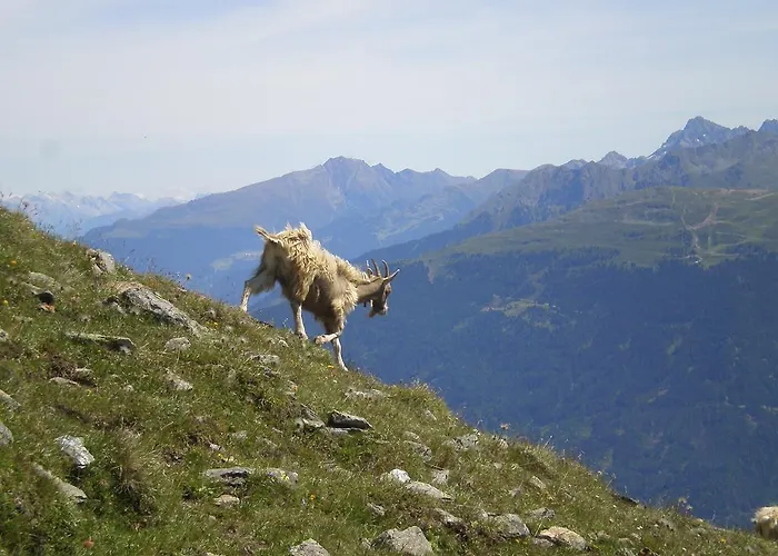 Haus Kathrein フリース